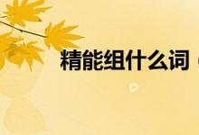 精能组什么词（汉字精怎么组词）