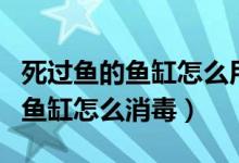 死过鱼的鱼缸怎么用二氧化氯消毒（死过鱼的鱼缸怎么消毒）