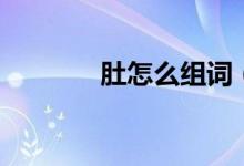 肚怎么组词(肚组词有什么)