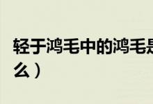 轻于鸿毛中的鸿毛是哪种动物的毛（鸿毛是什么）