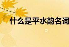 什么是平水韵名词解释（什么是平水韵）