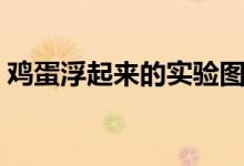 鸡蛋浮起来的实验图片（鸡蛋浮起来的实验）