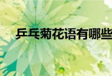 乒乓菊花语有哪些（乒乓菊花语是什么）