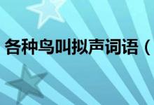 各种鸟叫拟声词语（各种鸟叫拟声词有哪些）