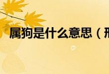 属狗是什么意思(邢道荣什么意思什么梗)