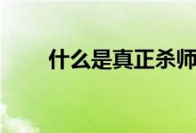 什么是真正杀师日(什么是真子集)