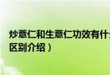 炒薏仁和生薏仁功效有什么不同（关于炒薏仁和生薏仁功效区别介绍）