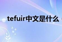 tefuir中文是什么（tefuir中文什么意思）