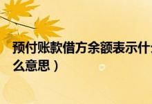 预付账款借方余额表示什么意思（预付账款借方余额表示什么意思）