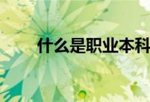 什么是职业本科（毕业是什么文凭）