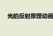 光的反射原理动画演示(光的反射原理)
