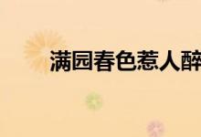 满园春色惹人醉(满园春色惹人醉)