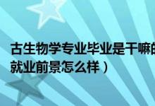 古生物学专业毕业是干嘛的（2022古生物学专业就业方向及就业前景怎么样）