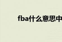 fba什么意思中文（fba什么意思）