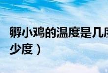 孵小鸡的温度是几度合适(孵小鸡的温度是多少度)