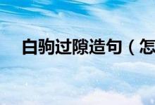 白驹过隙造句（怎么用白驹过隙造句呢）