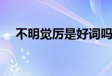 不明觉厉是好词吗（不明觉厉是成语吗）