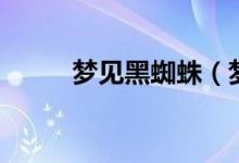 梦见黑蜘蛛(梦见黑蜘蛛好不好)