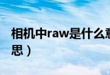 相机中raw是什么意思（相机中raw是什么意思）