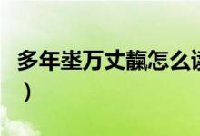 多年埊万丈靝怎么读(靔万丈埊多年什么意思)