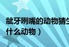 龇牙咧嘴的动物猜生肖（十二生肖龇牙咧嘴是什么动物）