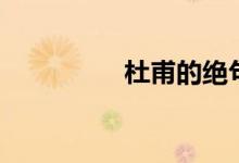 杜甫的绝句(杜甫自号)