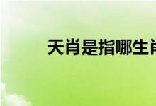 天肖是指哪生肖（天肖是哪几肖）