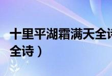 十里平湖霜满天全诗的意思（十里平湖霜满天全诗）