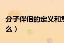 分子伴侣的定义和意义（分子伴侣的定义是什么）