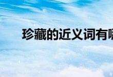 珍藏的近义词有哪些（珍藏的近义词）