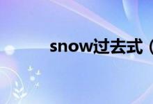 snow过去式（给大家介绍一下）