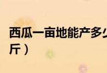 西瓜一亩地能产多少钱（西瓜一亩地能产多少斤）