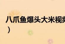 八爪鱼爆头大米视频(八爪鱼爆头大米是什么)