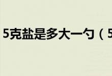 5克盐是多大一勺（5克盐用勺子大概是多少）