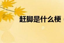 赶脚是什么梗(赶脚是什么意思)
