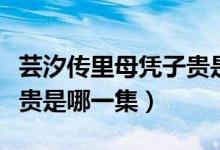 芸汐传里母凭子贵是哪一集（芸汐传中母凭子贵是哪一集）