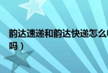 韵达速递和韵达快递怎么收费的(韵达速递和韵达快递一样吗)
