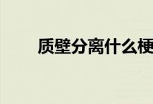质壁分离什么梗（质壁分离什么梗）