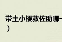带土小樱救佐助哪一集（火影忍者共有多少集）