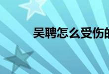 吴聘怎么受伤的(吴聘怎么死的)