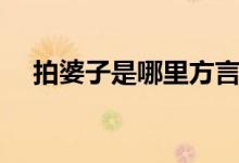 拍婆子是哪里方言（拍婆子是什么意思）