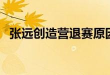 张远创造营退赛原因（张远创造营排第几）