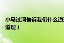 小马过河告诉我们什么道理和启示（小马过河告诉我们什么道理）