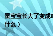蚕宝宝长大了变成啥样子（蚕宝宝长大了变成什么）