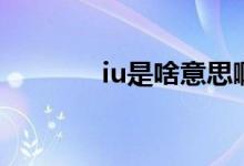 iu是啥意思啊（iu是啥意思）