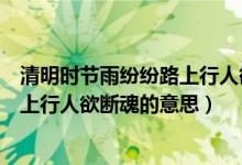 清明时节雨纷纷路上行人欲断魂的诗名（清明时节雨纷纷路上行人欲断魂的意思）