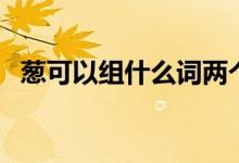 葱可以组什么词两个字（葱可以组什么词）