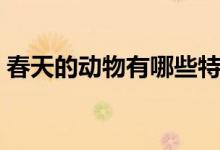 春天的动物有哪些特点（春天的动物有哪些）