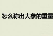 怎么称出大象的重量(怎么称出大象的重量)
