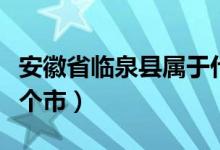 安徽省临泉县属于什么（安徽省临泉县属于哪个市）